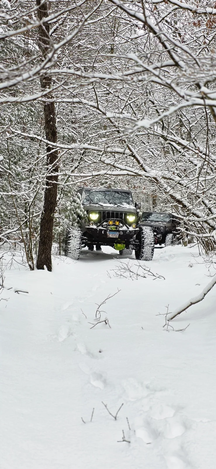 Snow trail night